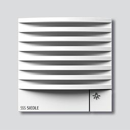 Taleining, 2ja víra, hvít vörumynd