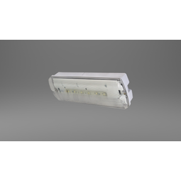 Neyðarlampi LED IP65 Sjálfprófun vörumynd