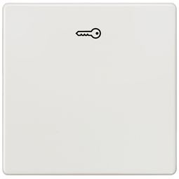 Vippa með lykiltákni i-system, títanhvít vörumynd