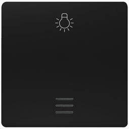 Vippa fyrir ljós og merkispjald i-system, svört(s) vörumynd