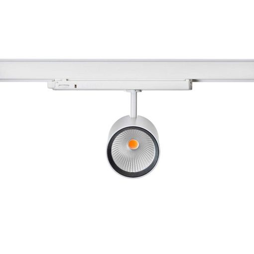 Kastari Dingo hvítur, 930 3936lm WFL 50° 33,7W vörumynd - mynd 1 af 1